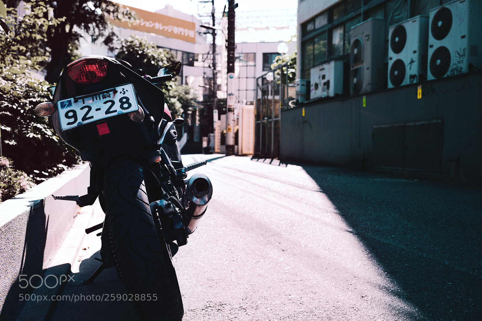 Sony a7R III sample photo. Komiti photography
