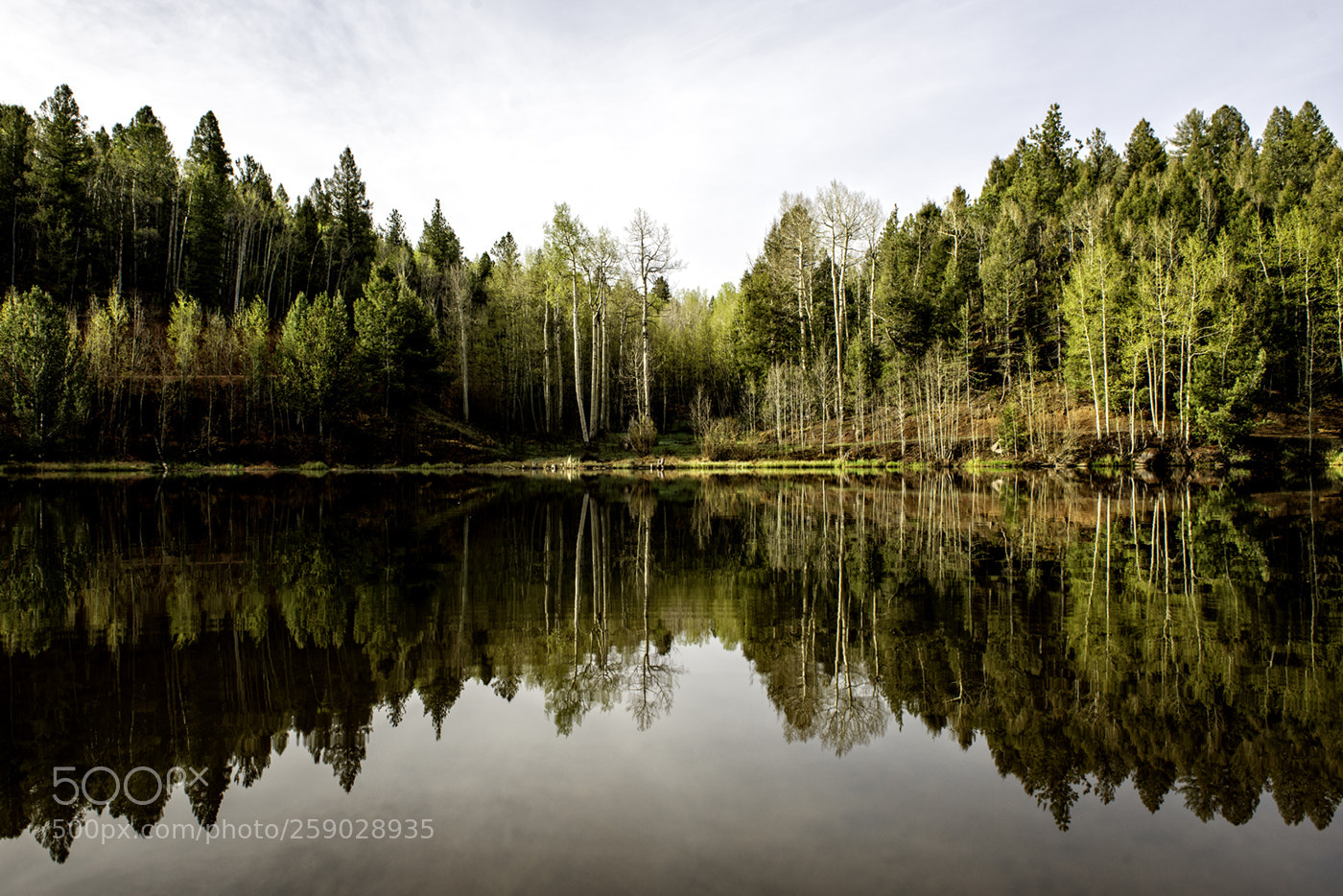 Nikon D800 sample photo. Pond with no name photography