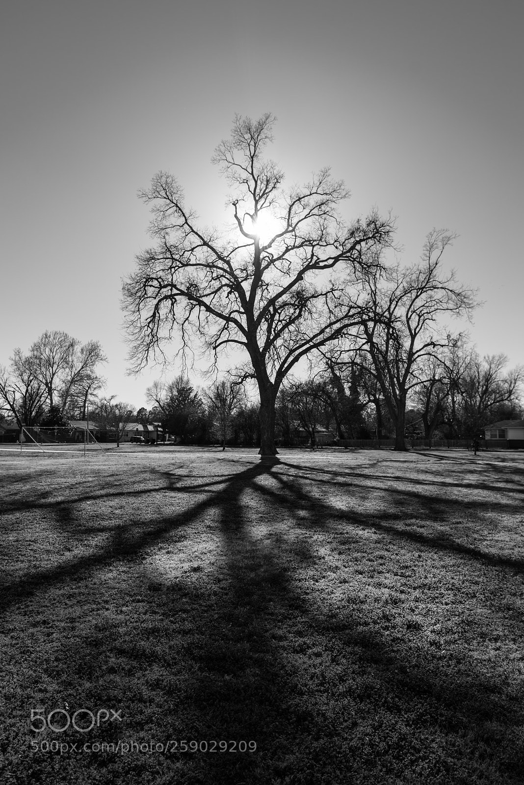 Nikon D750 sample photo. Impossible shadows photography