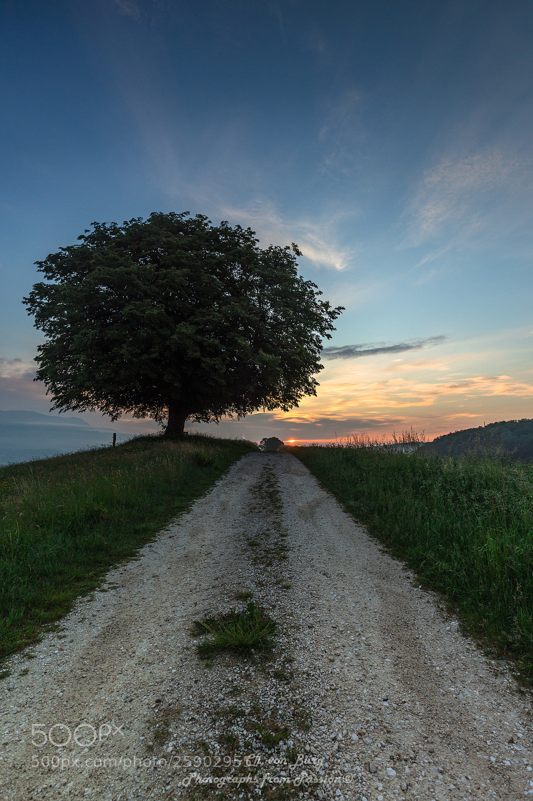 Canon EOS 6D sample photo. Path to the sunrise photography