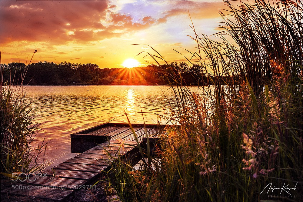 Nikon D810 sample photo. Sunset in rotterdam photography