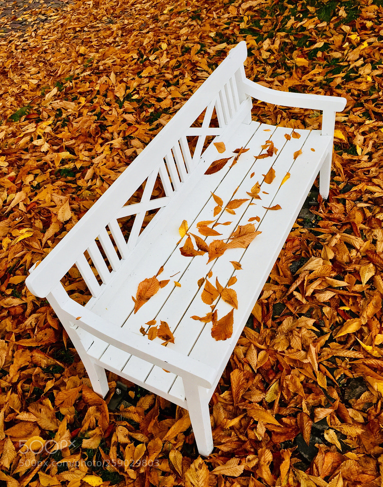 Apple iPhone 6 sample photo. Ordinarily extraordinary  photography