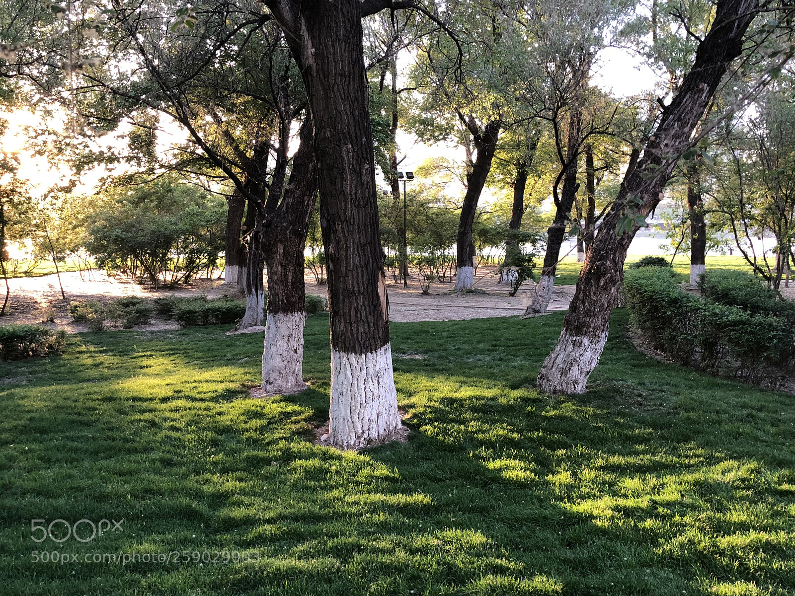 Apple iPhone X sample photo. Sunset sun photography