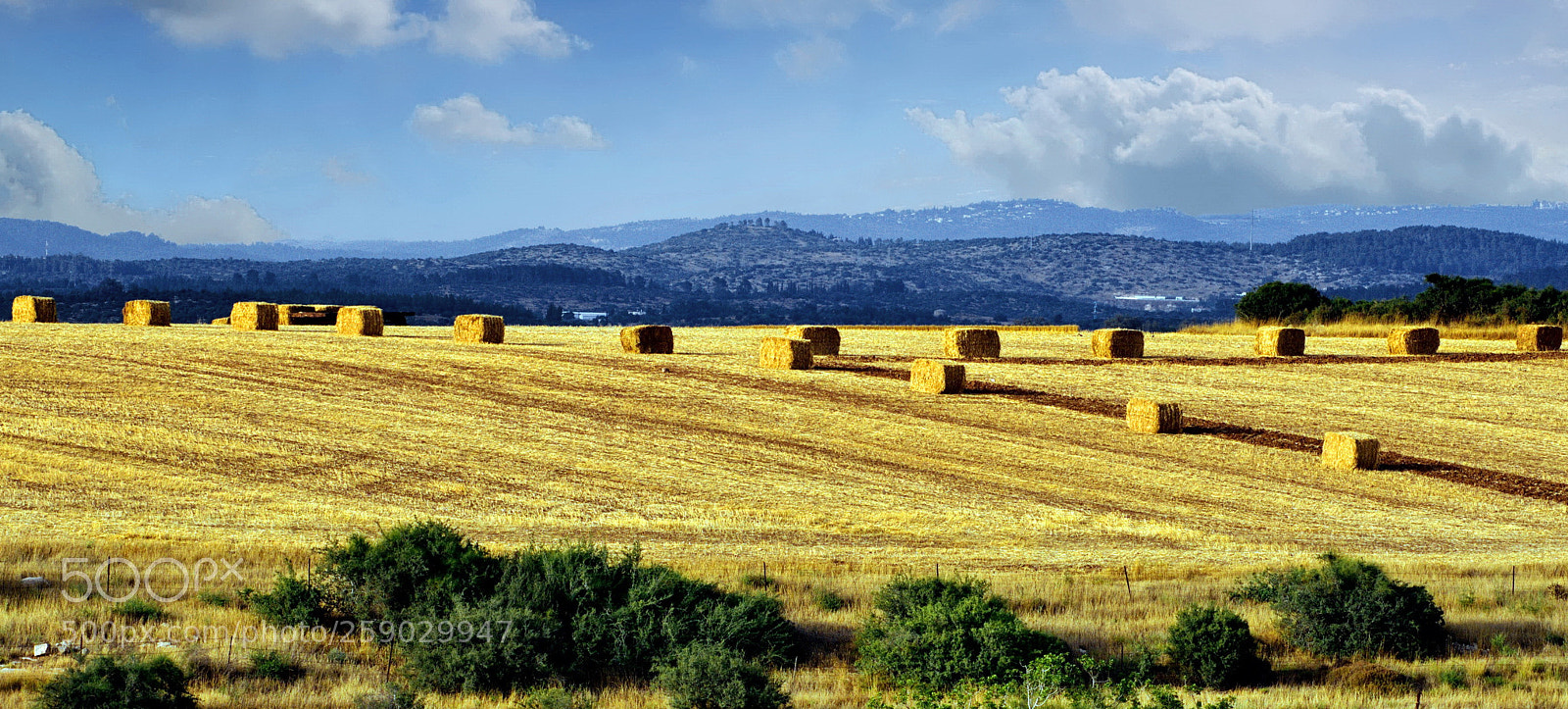 Nikon D7200 sample photo. Israeli landscape photography