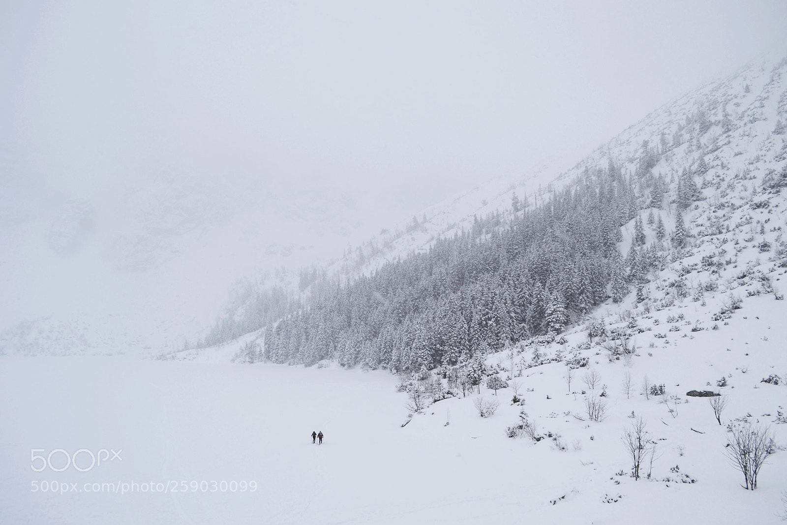 Nikon D3100 sample photo. Morskie oko photography
