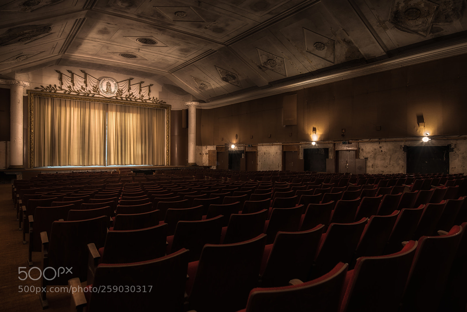 Nikon D750 sample photo. Let the show begin photography