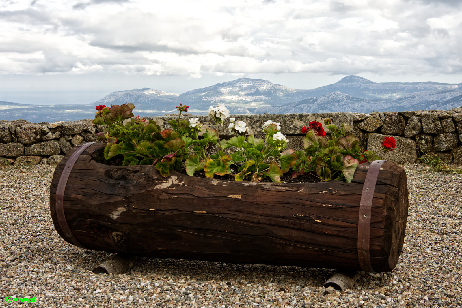 Nikon D7200 sample photo. Fioriera photography