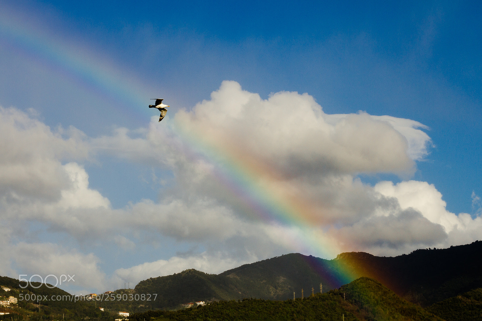 Canon EOS 7D sample photo. Rainbow photography