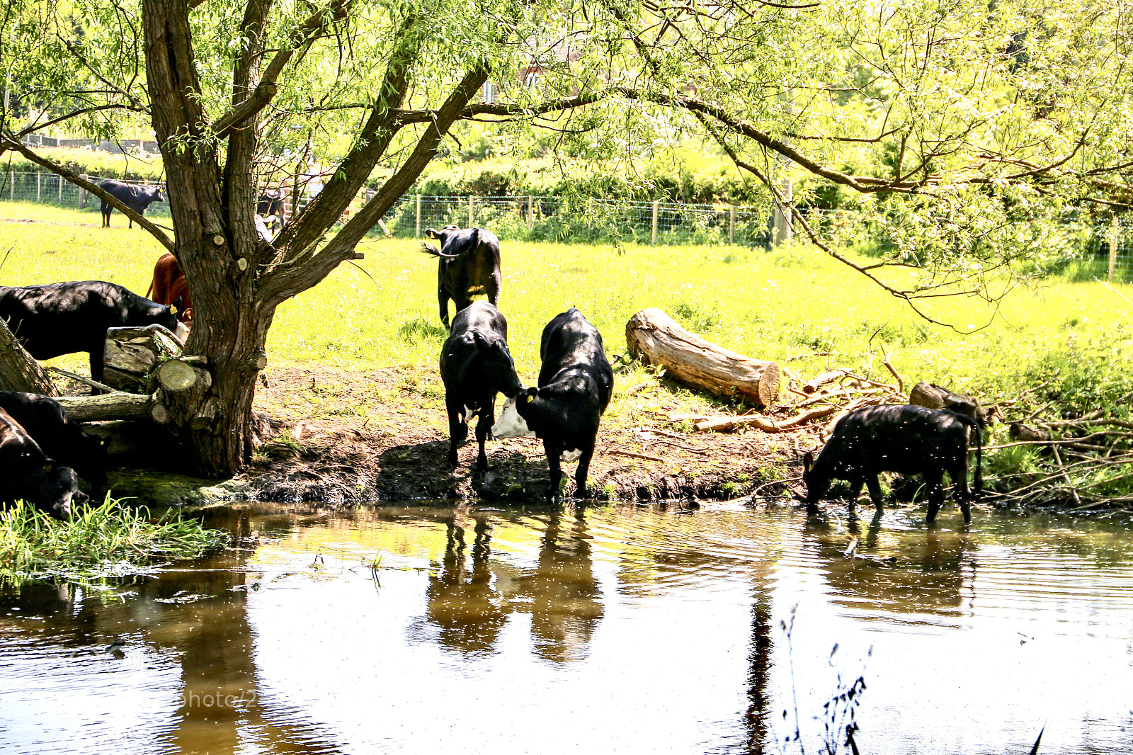 Canon EOS 6D sample photo. Cooling water but beware photography