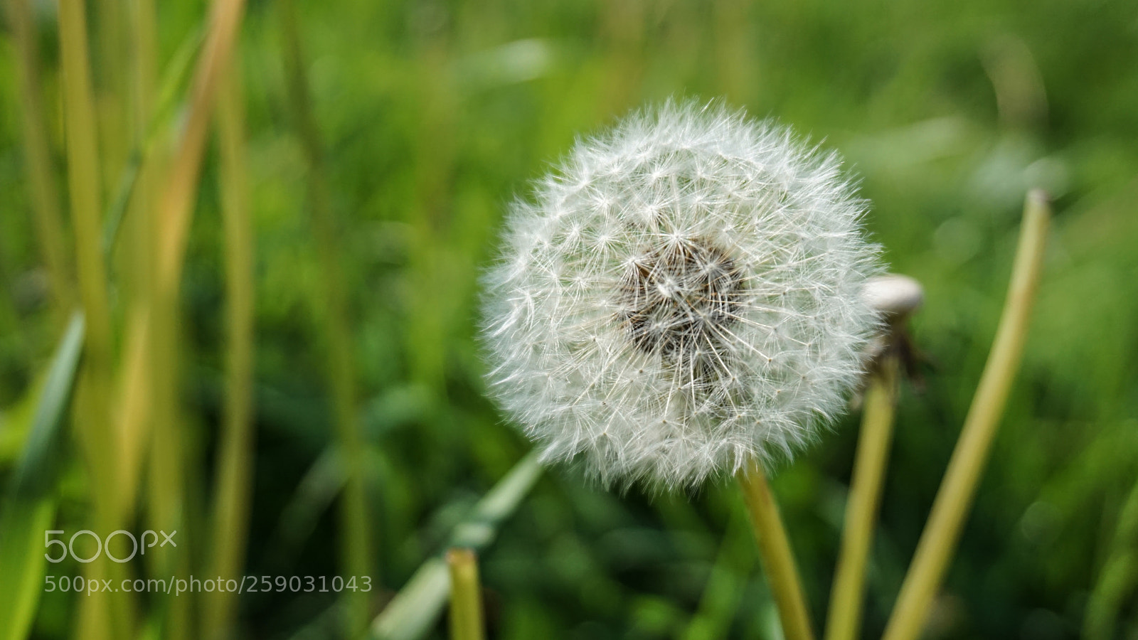 Sony a6000 sample photo. Nature photography