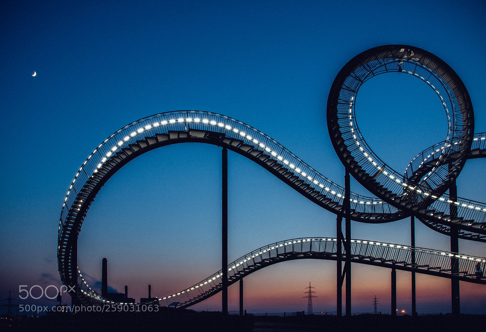 Nikon D7000 sample photo. Tiger and turtle photography