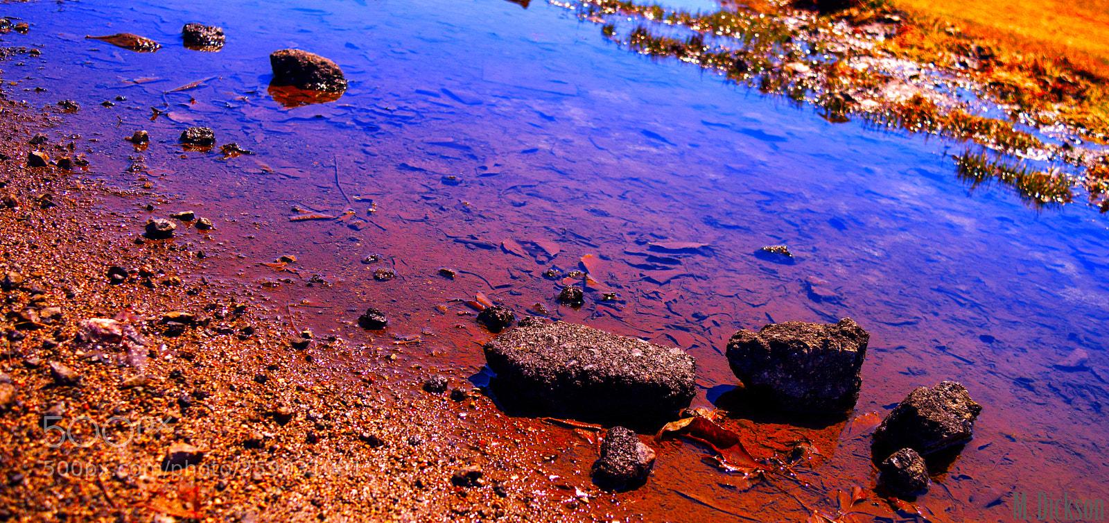 Nikon D3300 sample photo. Blood of heroes photography