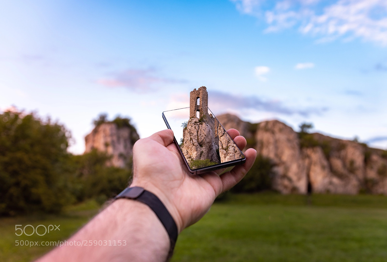 Nikon D750 sample photo. World on the palm photography