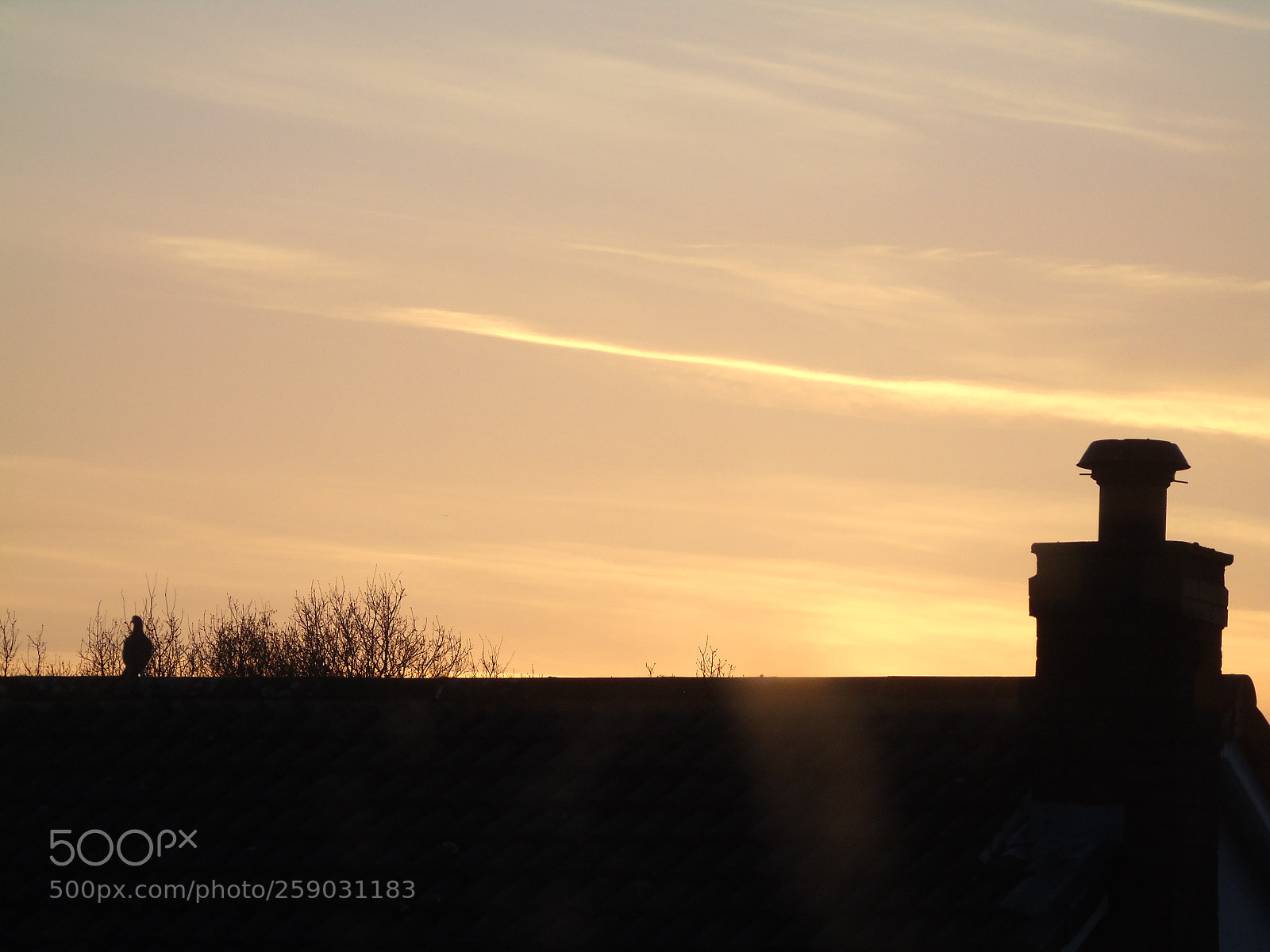 Sony Cyber-shot DSC-H400 sample photo. Chimney and bird against photography