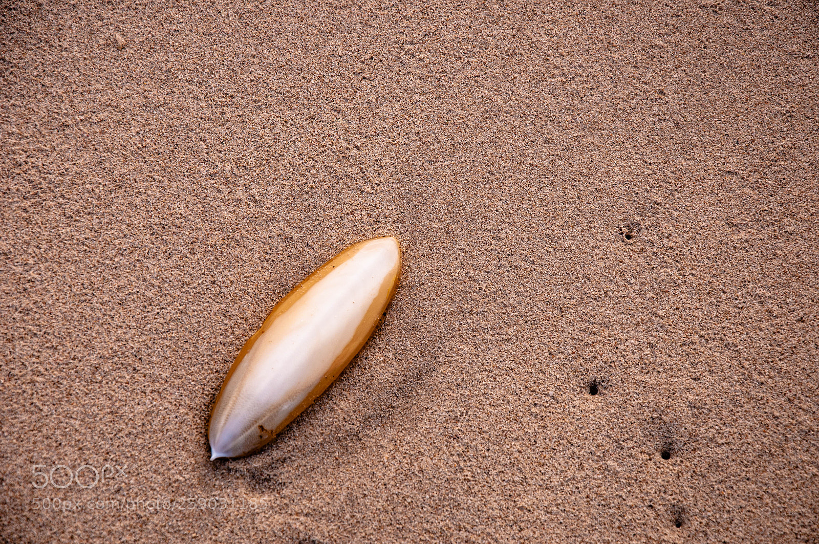 Nikon D90 sample photo. Left alone photography