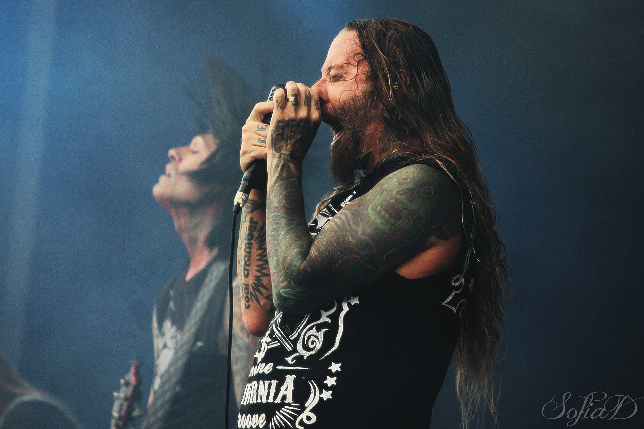 Canon EF-S 55-250mm F4-5.6 IS II sample photo. Devildriver photography