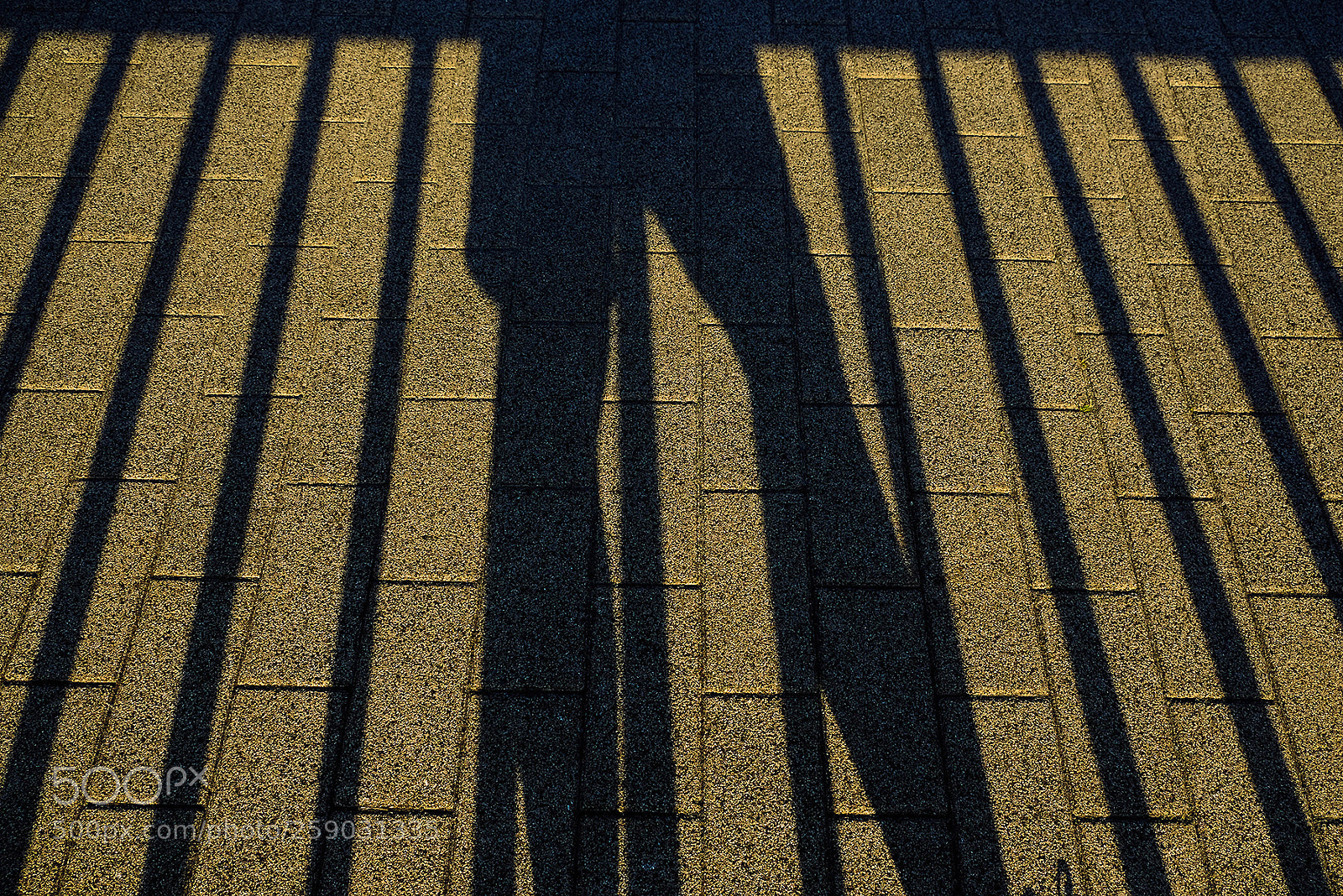 Fujifilm X-T2 sample photo. My shadow today photography