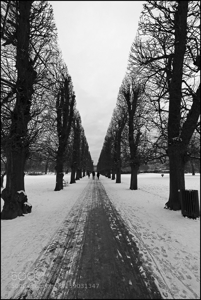 Canon EOS 5D Mark II sample photo. Infinite perspective photography