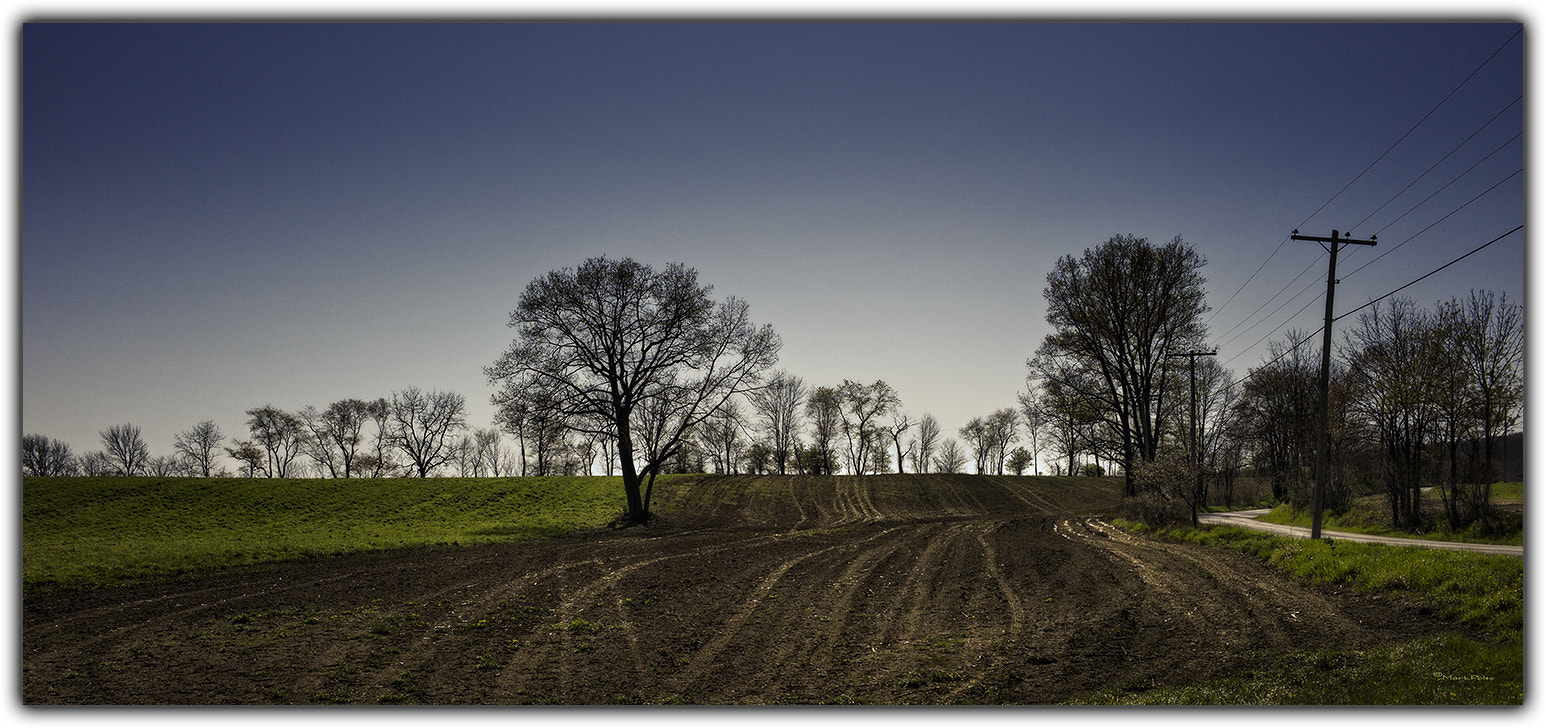 Leica M9 sample photo. Evening on route photography