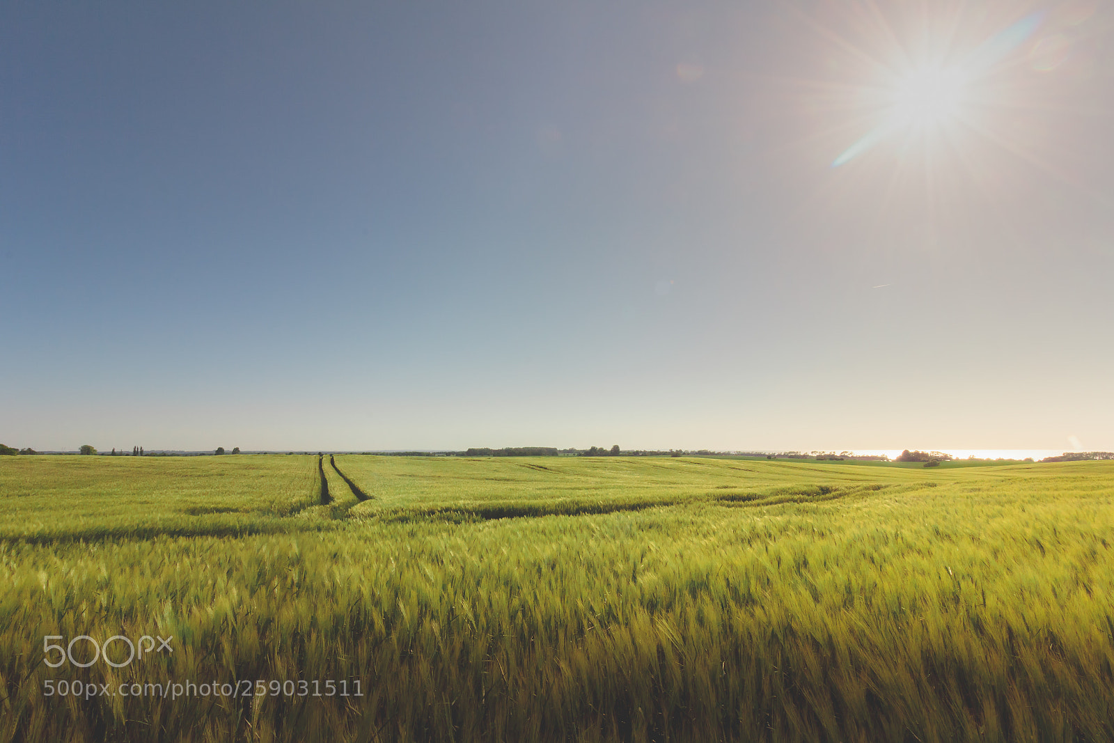 Canon EOS 60D sample photo. Wide mecklenburfg photography