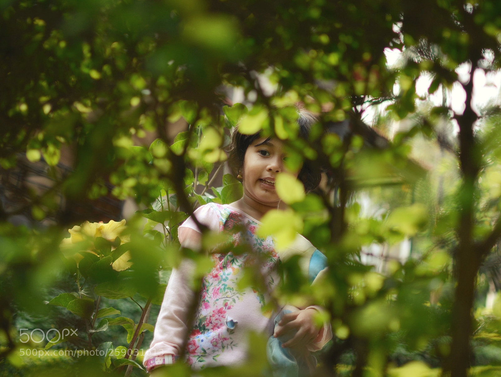Nikon D5100 sample photo. The peek photography