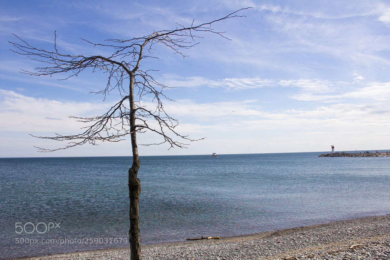 Canon EOS 60D sample photo. Beachfront park photography