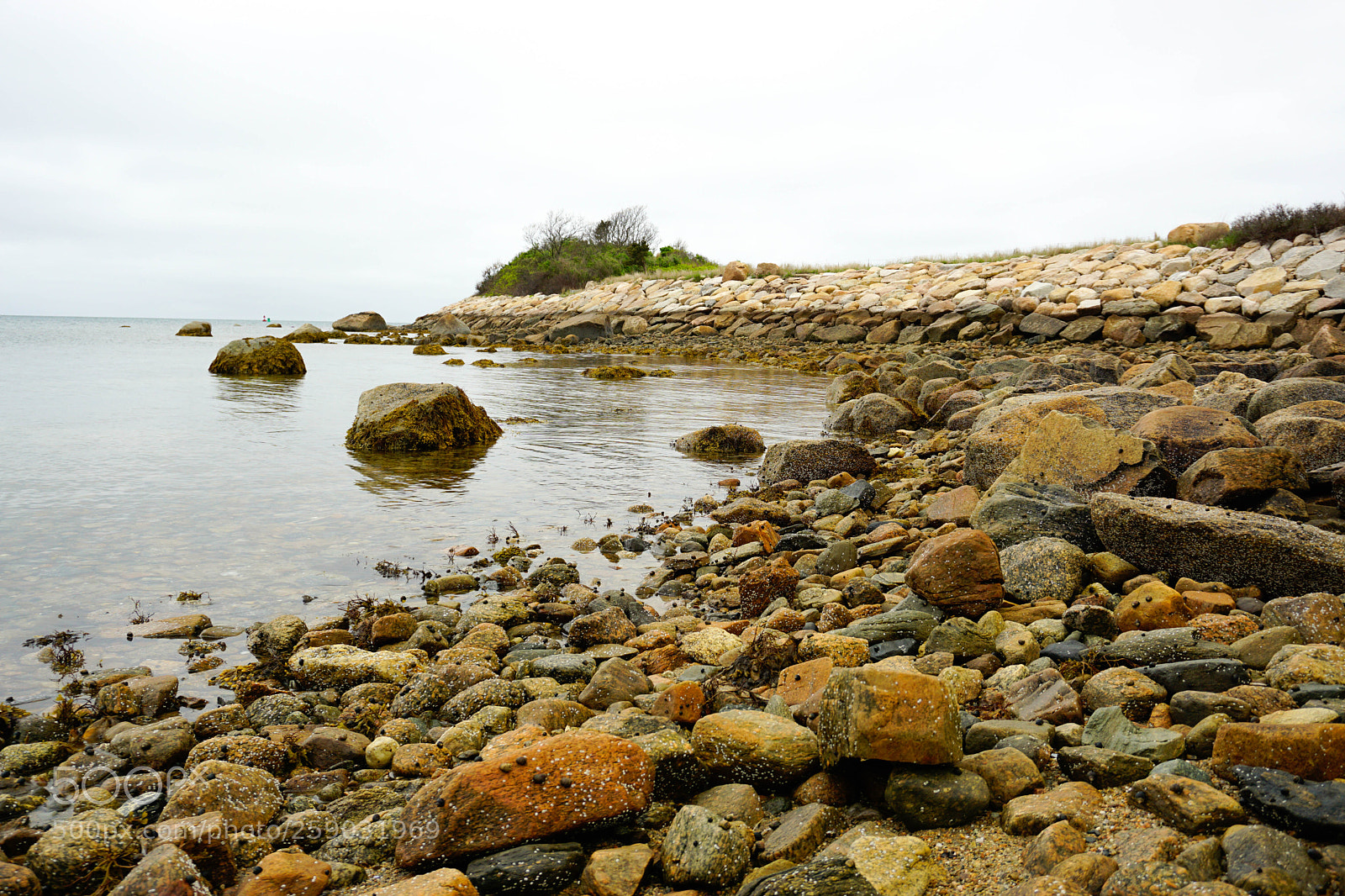 Sony a6000 sample photo. _dsc3528-1.jpg photography