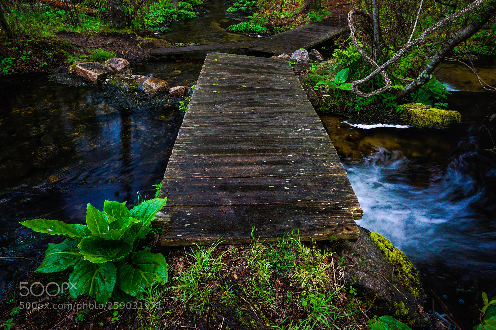 Sony a6000 sample photo. _dsc4122-1.jpg photography