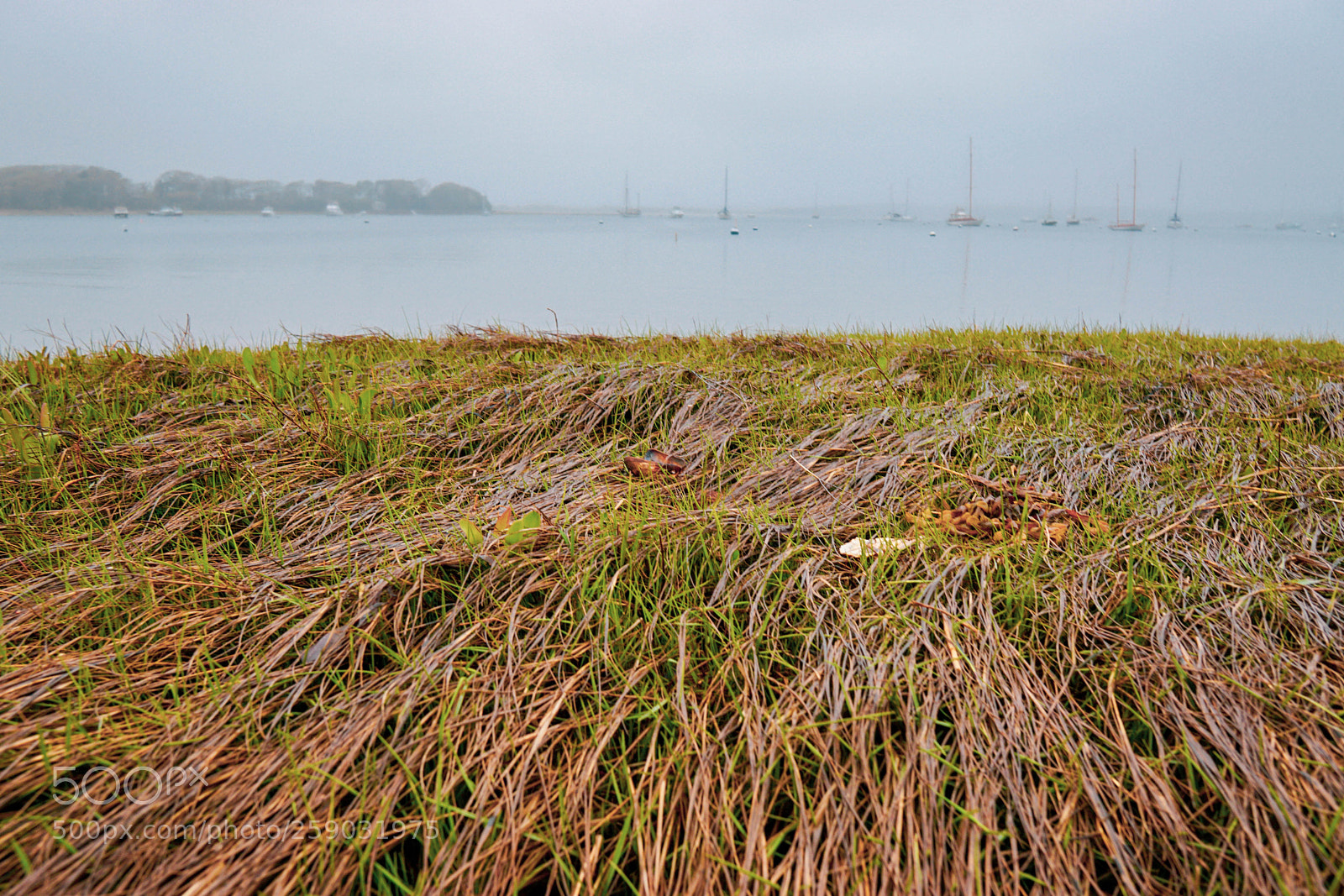 Sony a6000 sample photo. _dsc4310-1-1.jpg photography