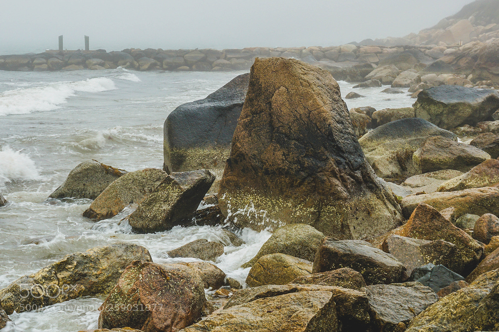 Sony a6000 sample photo. _dsc4723-1.jpg photography