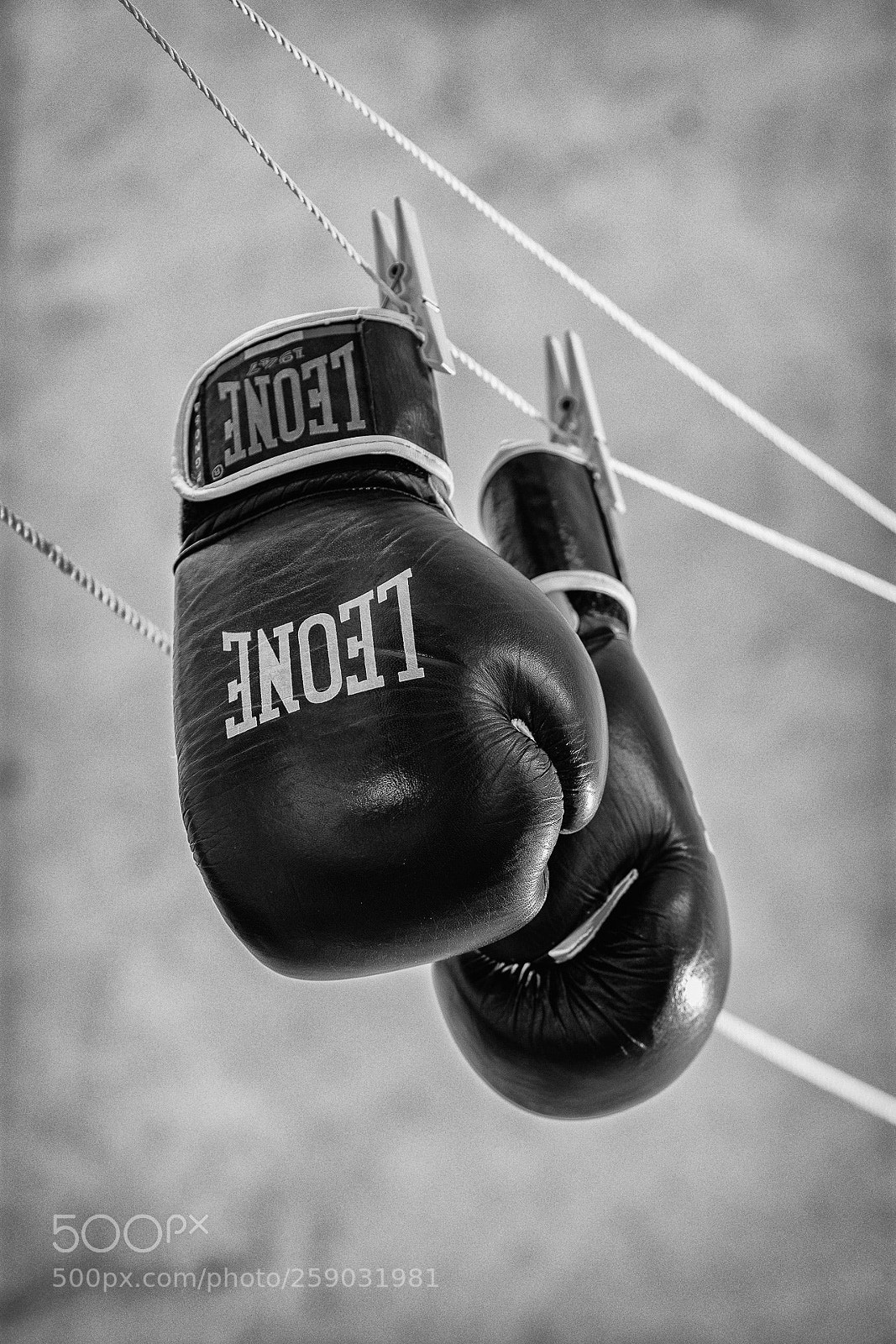 Nikon D7200 sample photo. Never give up photography