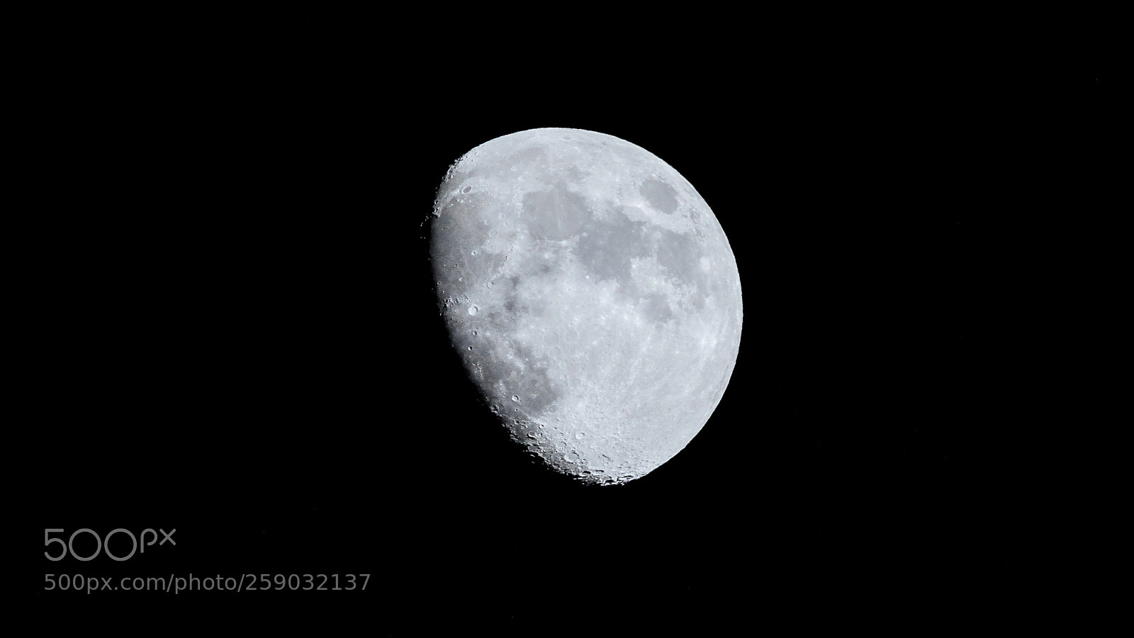 Canon EOS 7D sample photo. Just the moon photography