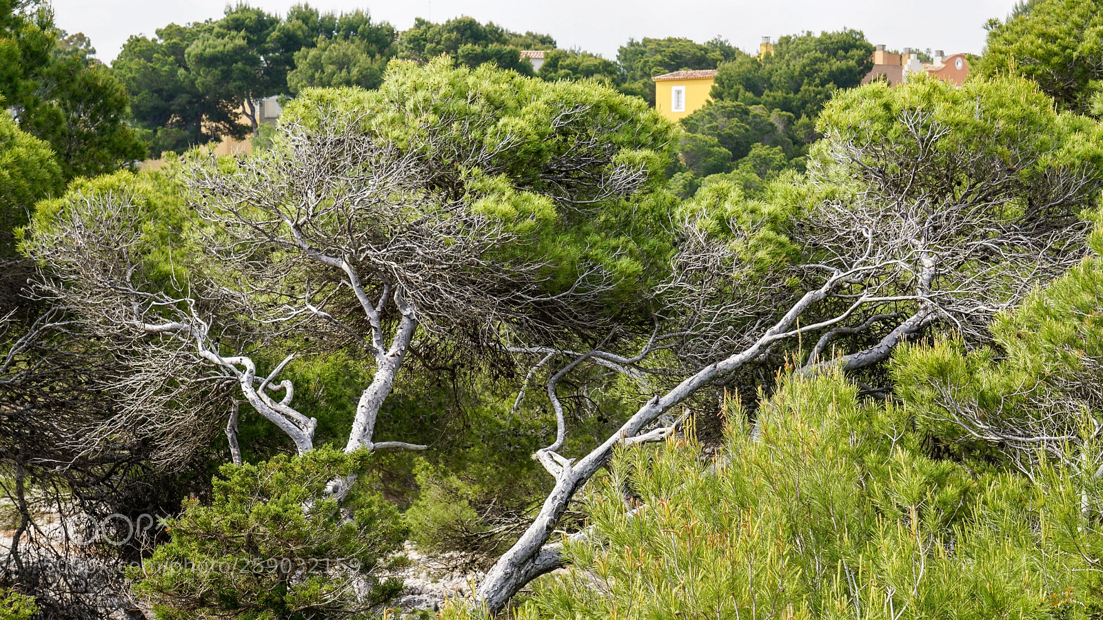 Sony a6000 sample photo. Mallorca cala barca photography
