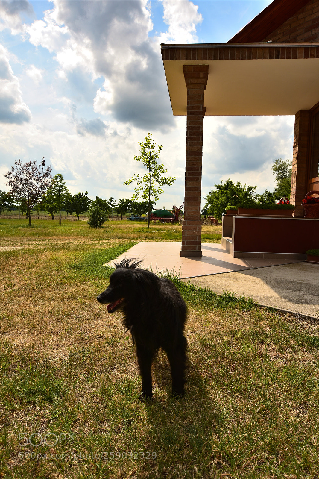 Nikon D7200 sample photo. Untitled photography