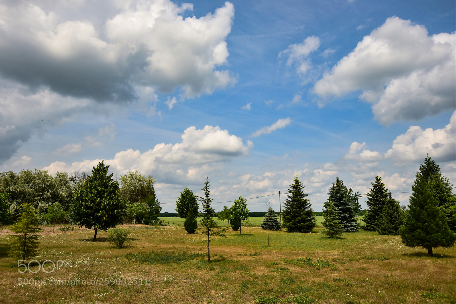 Nikon D7200 sample photo. Untitled photography