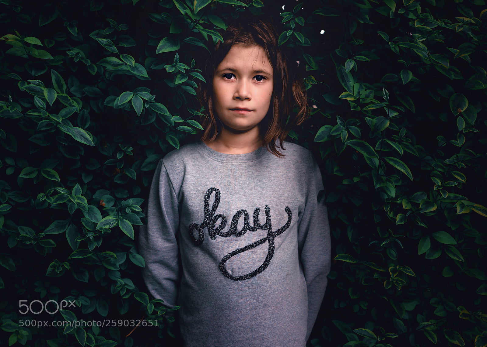 Sony a7R sample photo. Mille photography