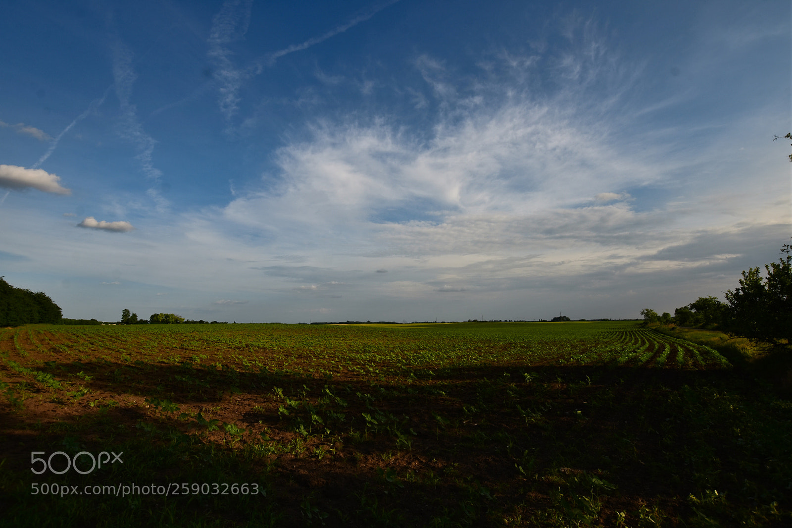 Nikon D7200 sample photo. Untitled photography