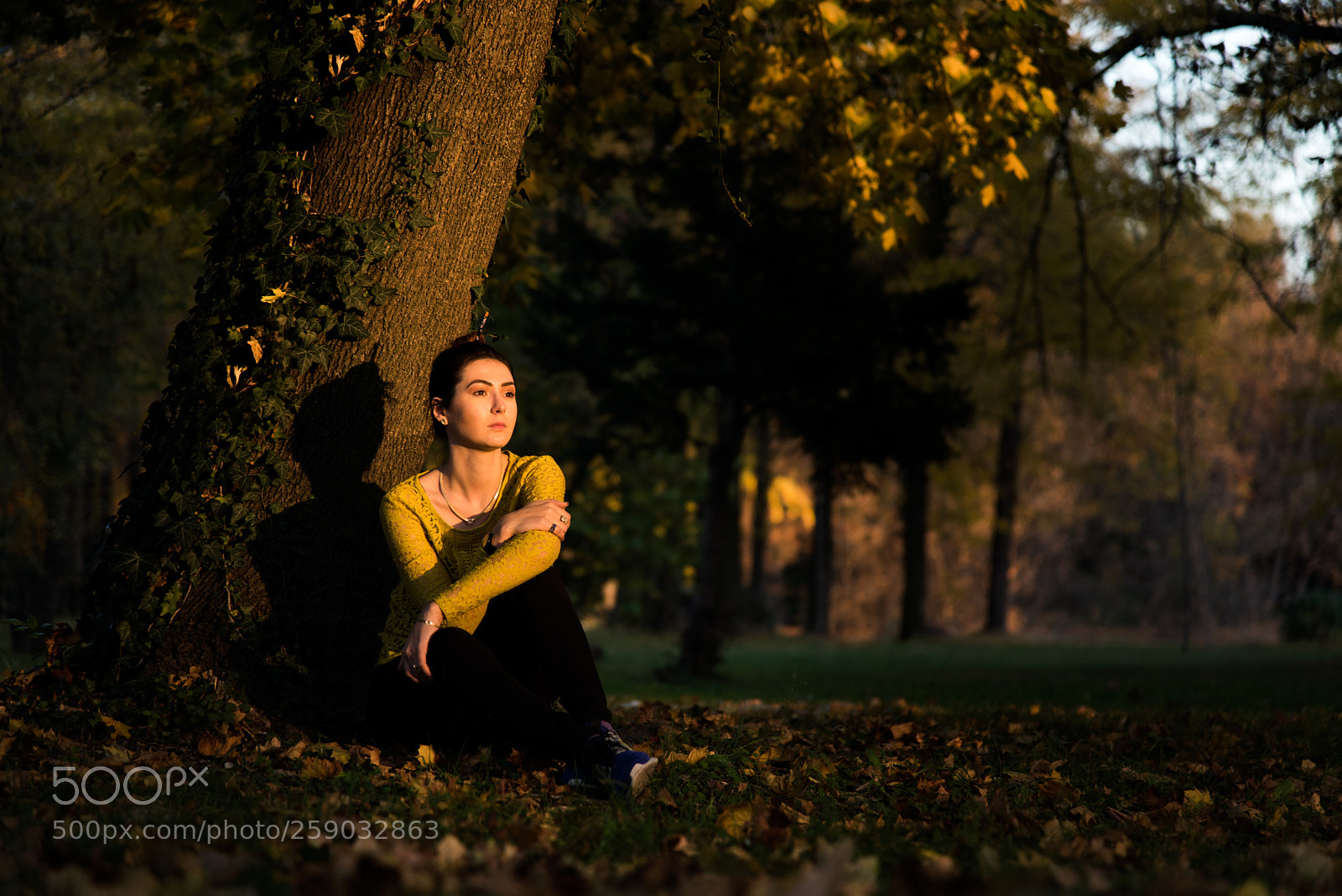 Nikon D750 sample photo. Till the sun sets photography