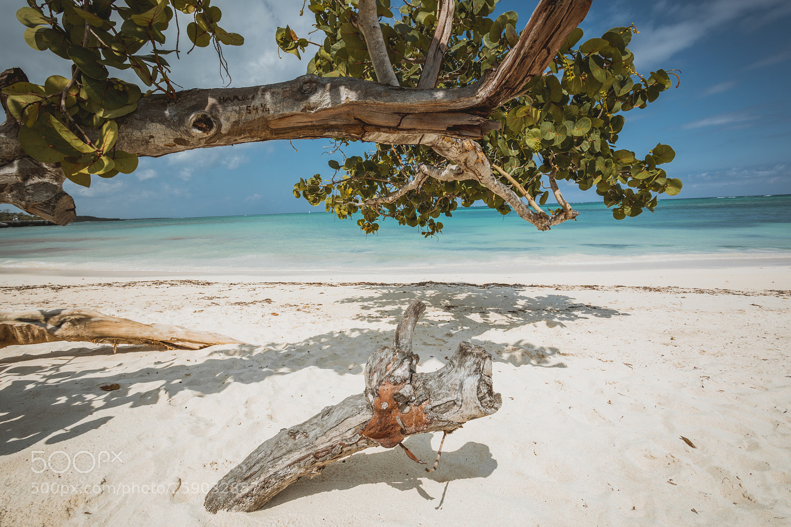 Canon EOS 5D Mark IV sample photo. White beaches in cuba photography