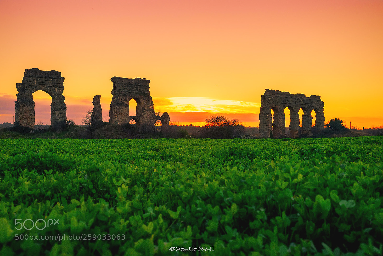 Nikon D750 sample photo. Parco degli acquedotti at photography