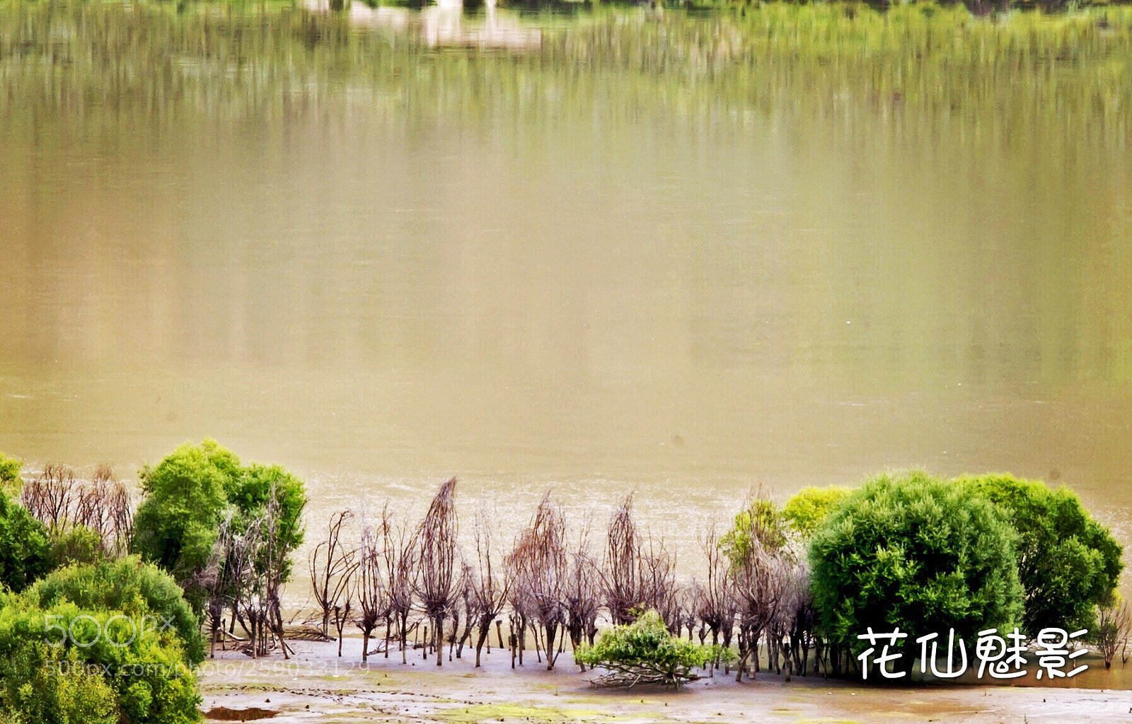 Leica M (Typ 240) sample photo. Tibet photography