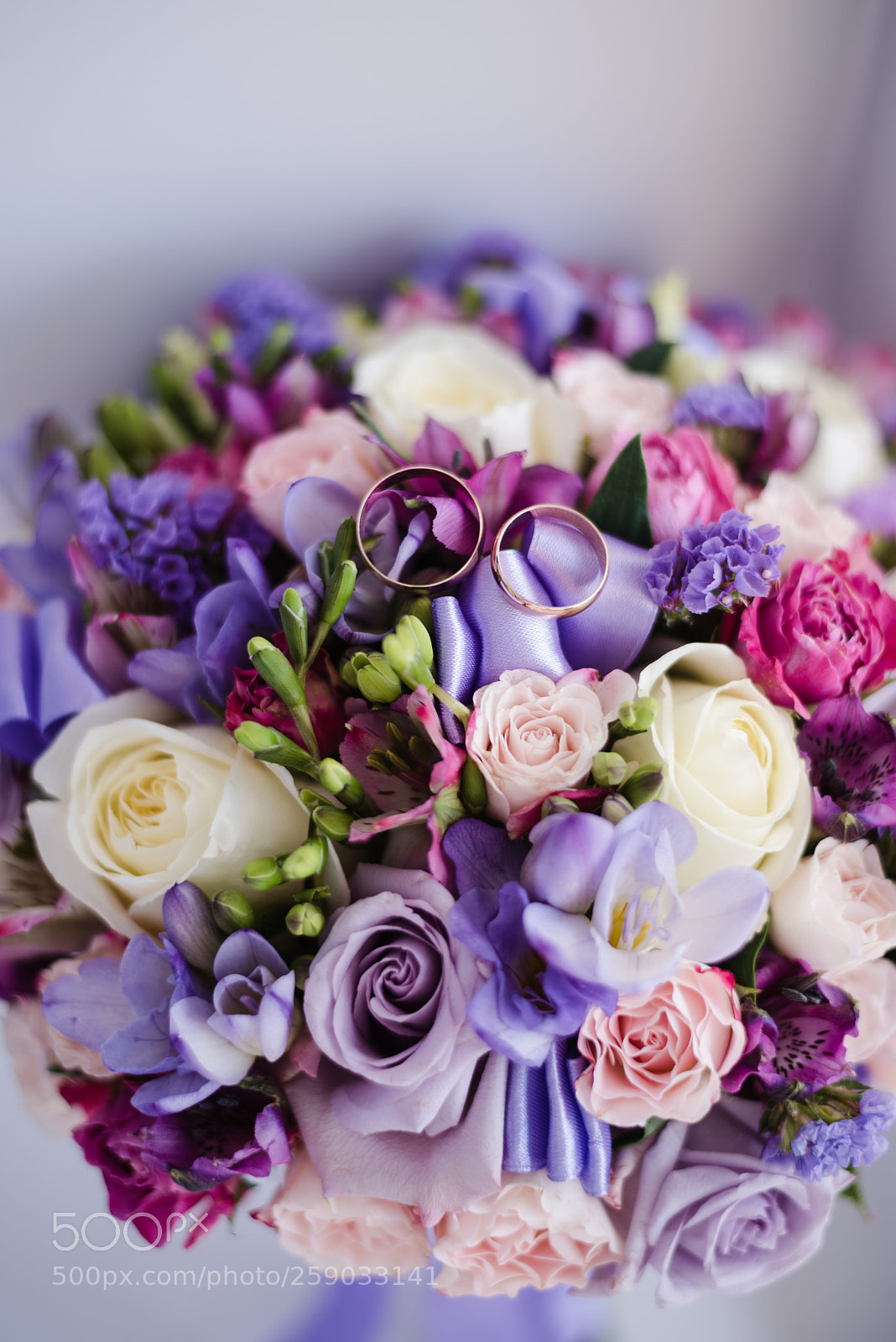 Nikon D750 sample photo. 0004.jpg photography