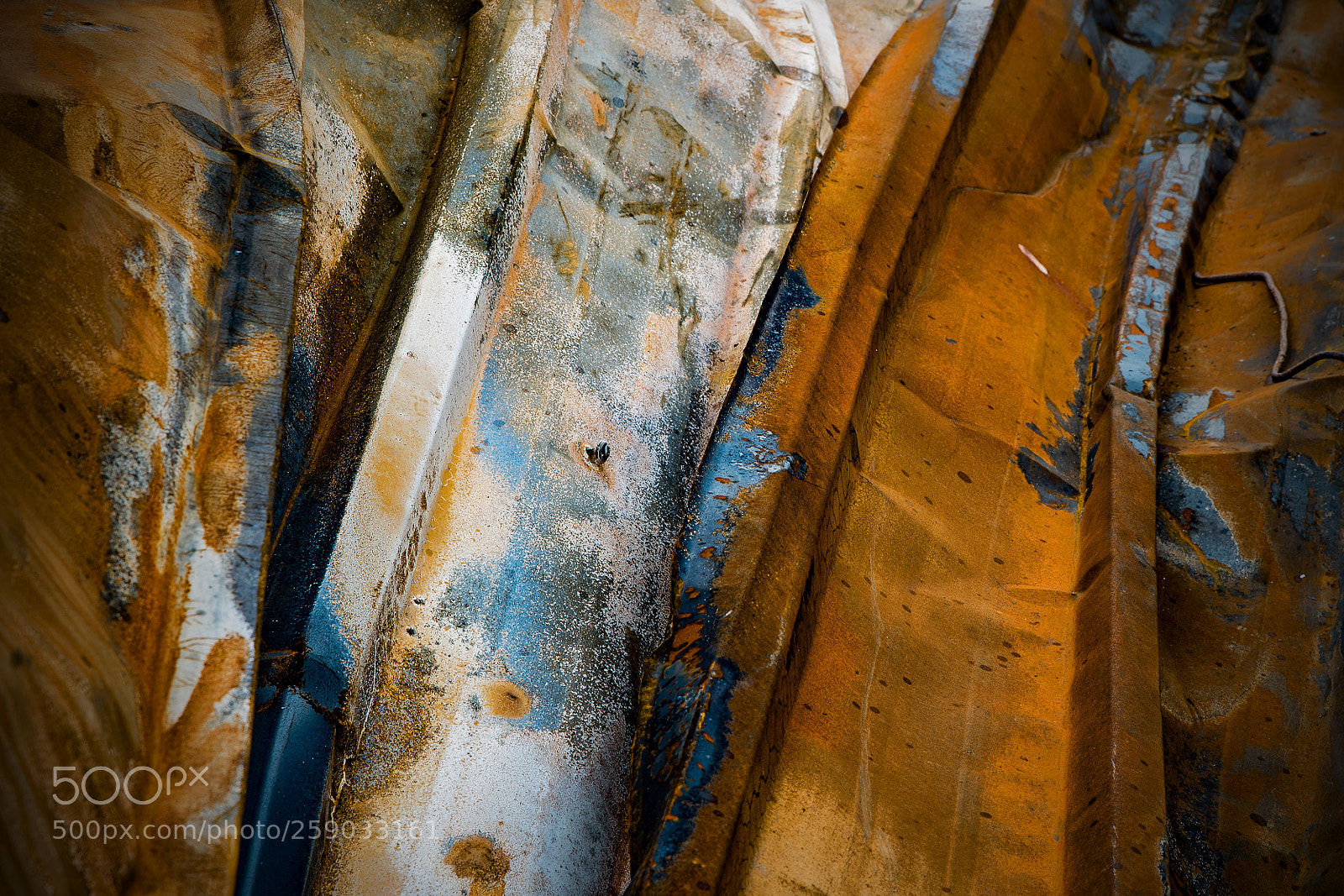 Nikon D750 sample photo. Folding... photography