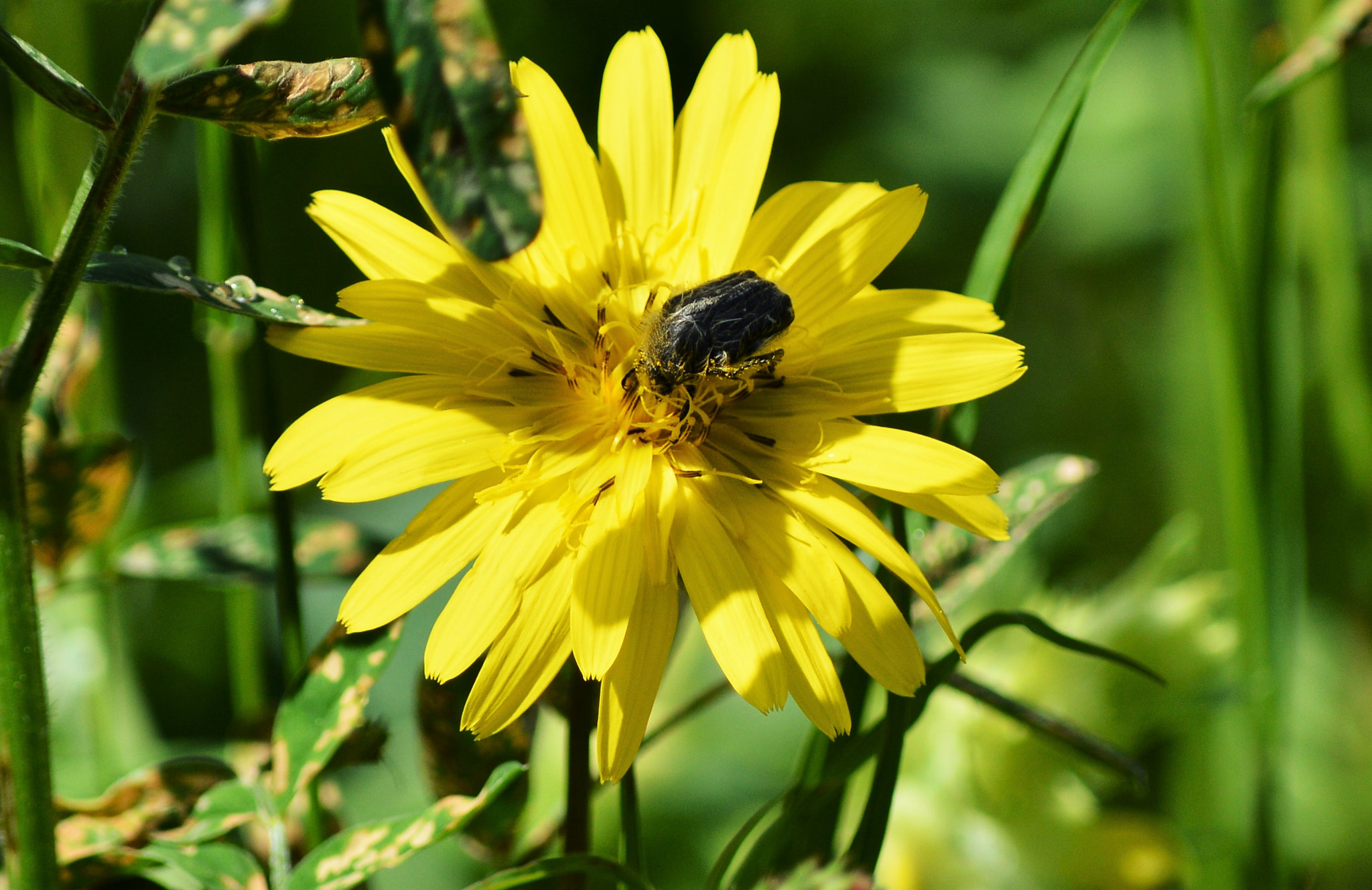Nikon D3200 sample photo