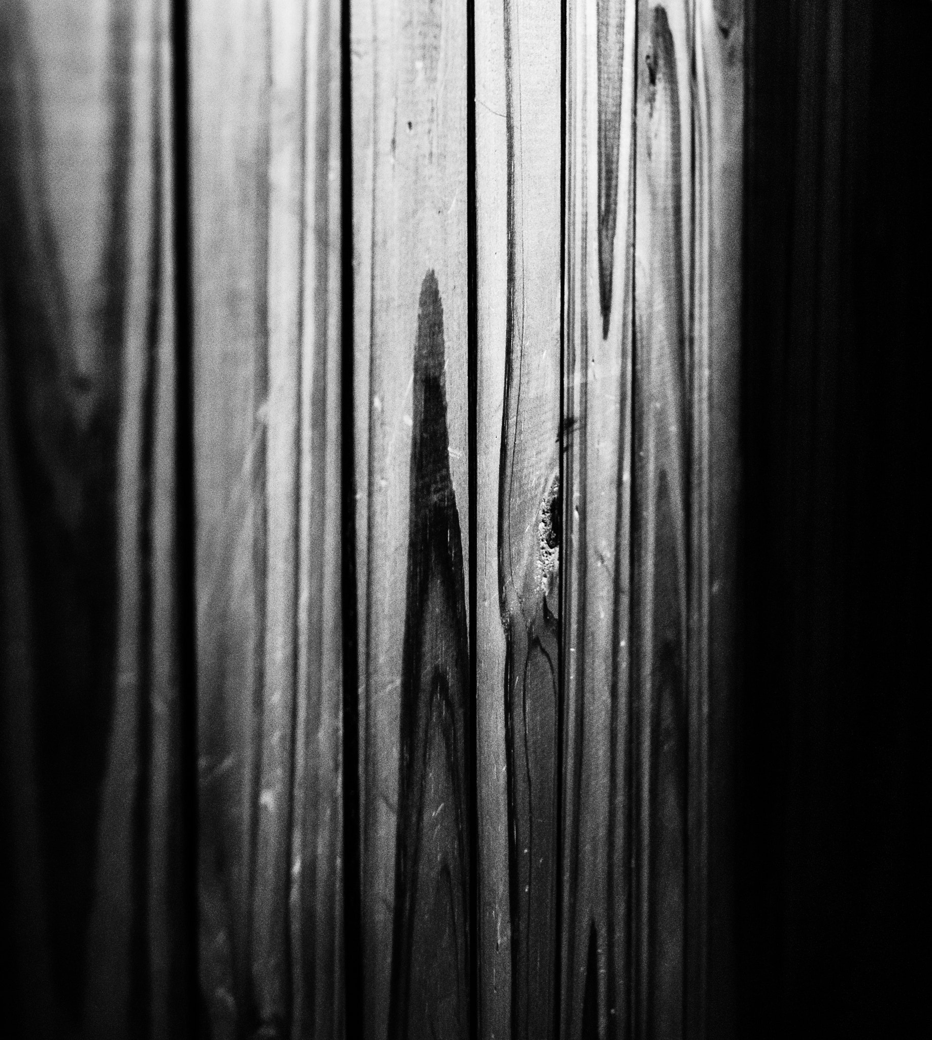 Sony Alpha DSLR-A290 sample photo. Wood texture photography