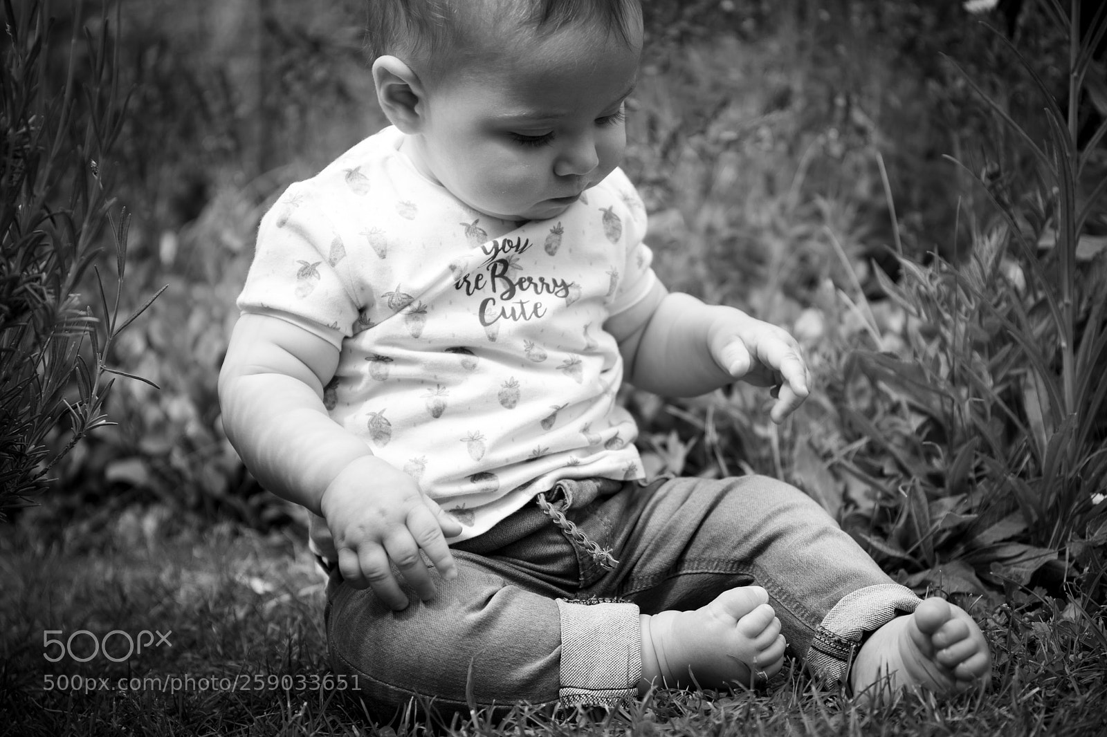 Canon EOS 5D Mark IV sample photo. Exploring nature ii photography