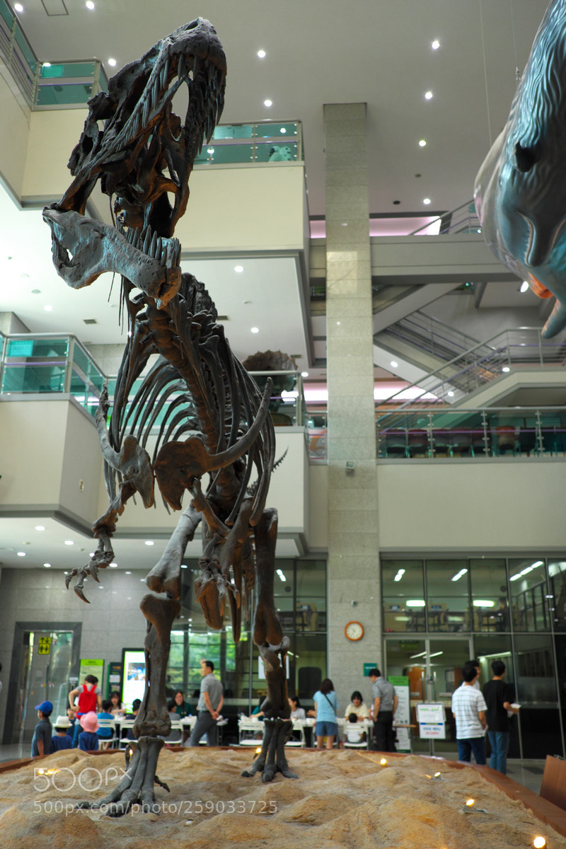 Fujifilm X-T20 sample photo. Seodaemun museum of natural photography