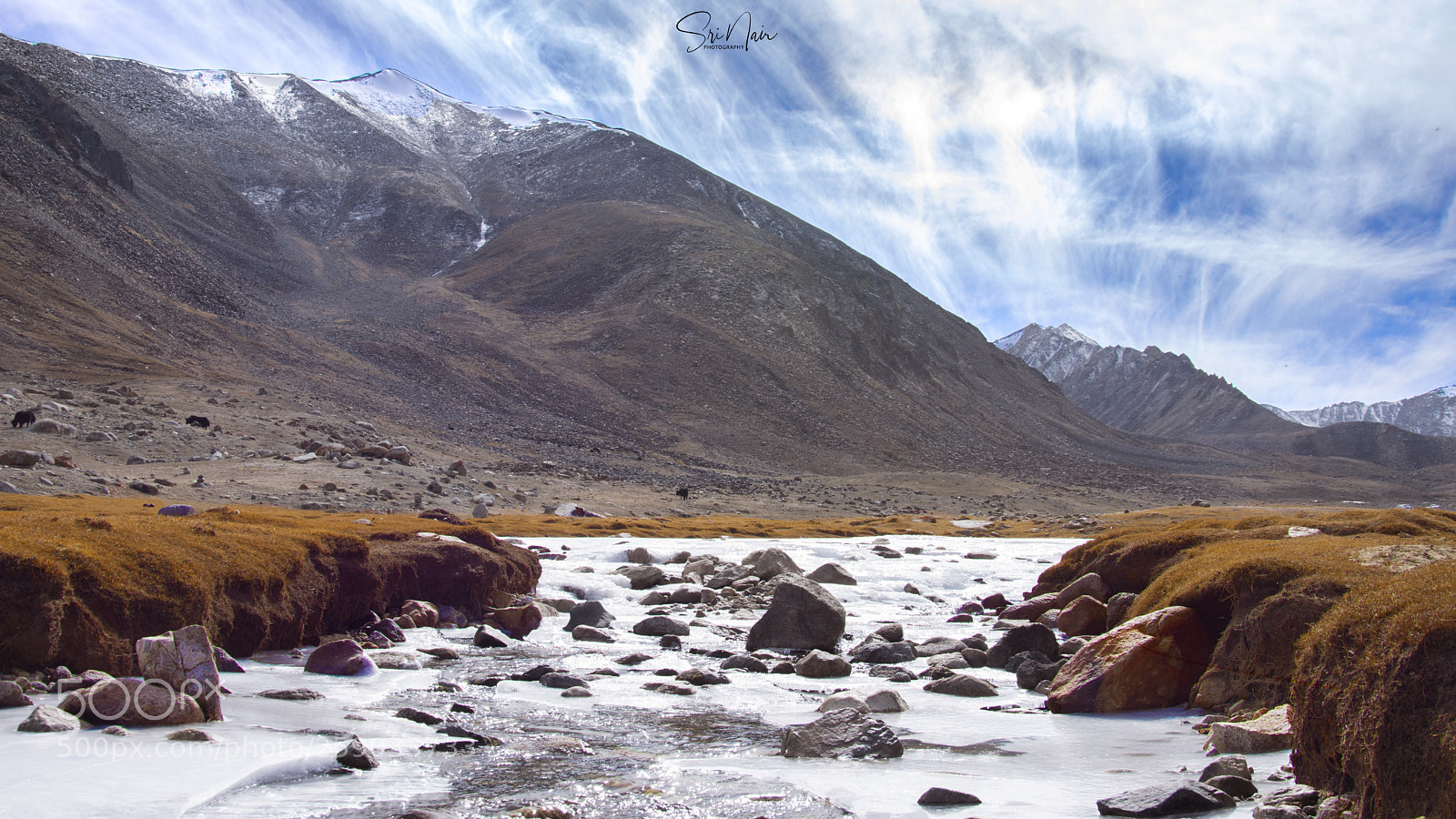 Nikon D7200 sample photo. Frozing river photography