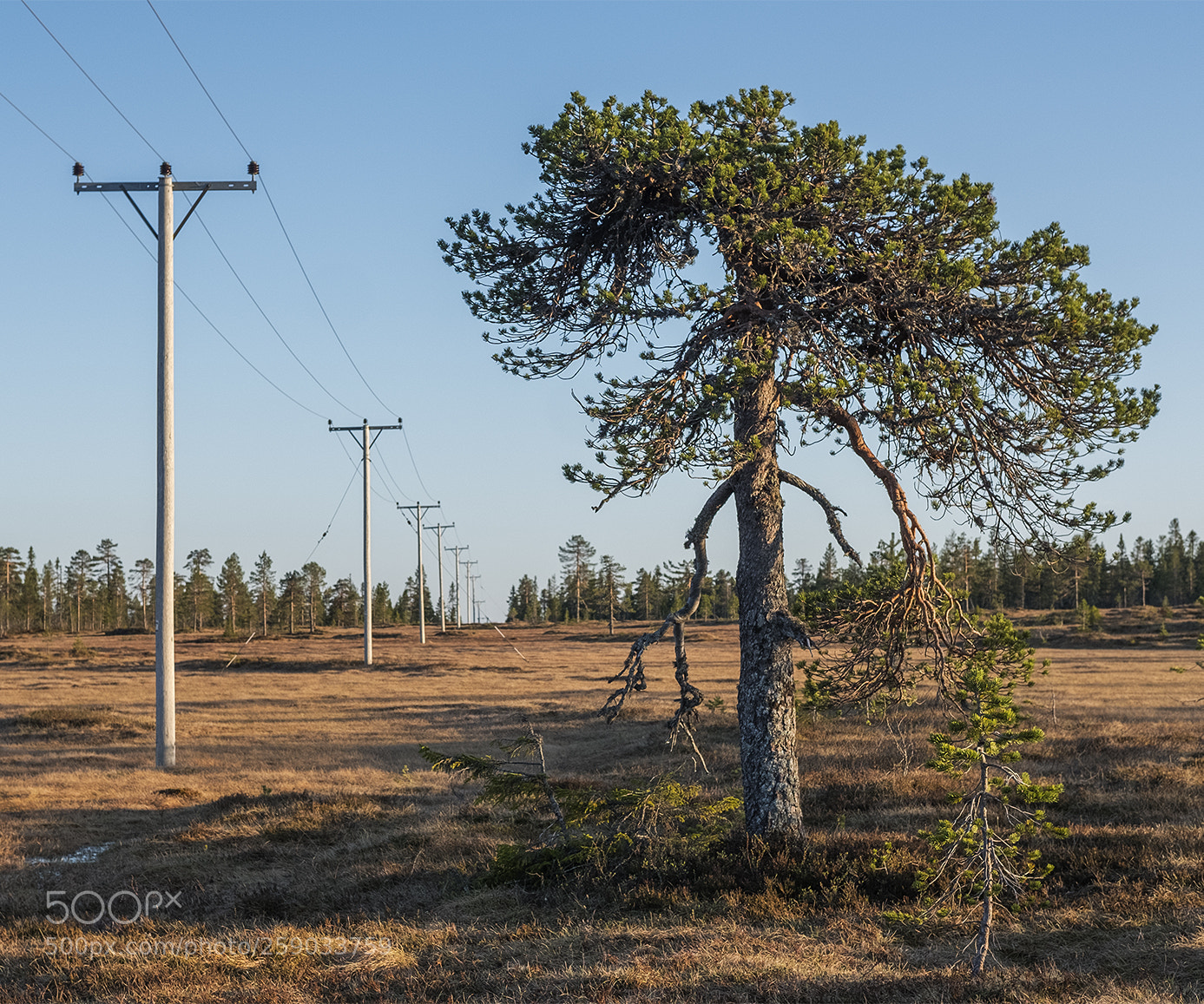 Fujifilm X-T2 sample photo. Poles photography