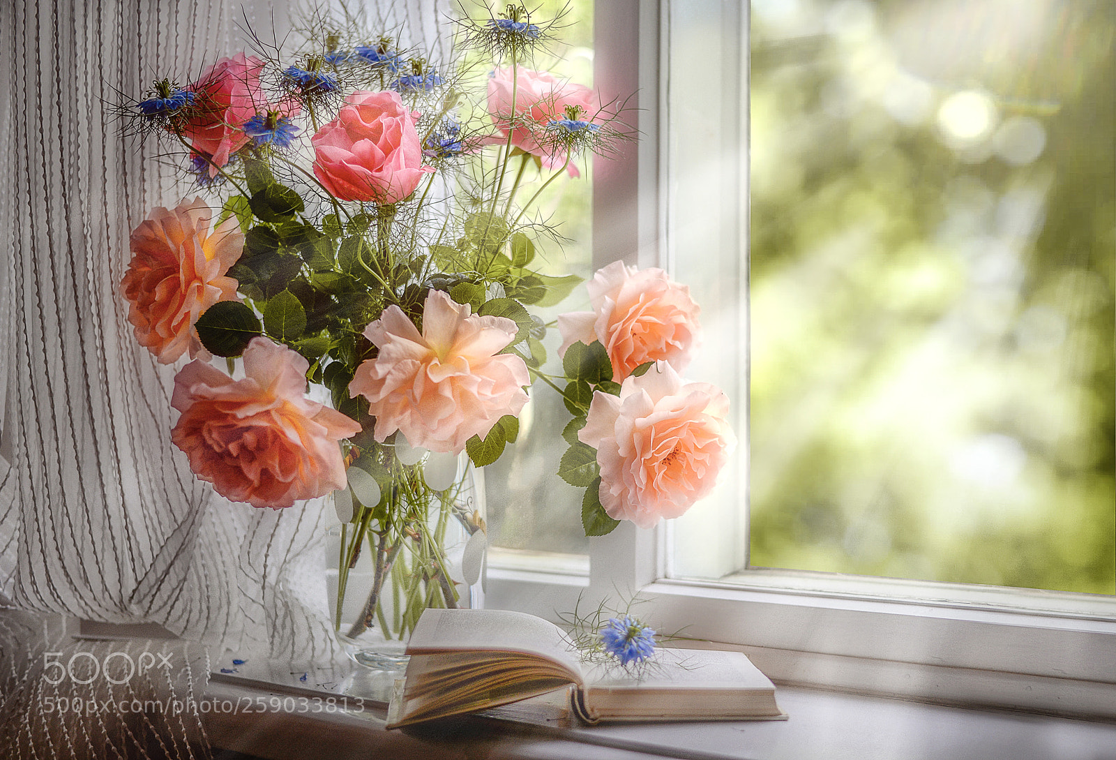 Nikon D610 sample photo. Morning reading photography